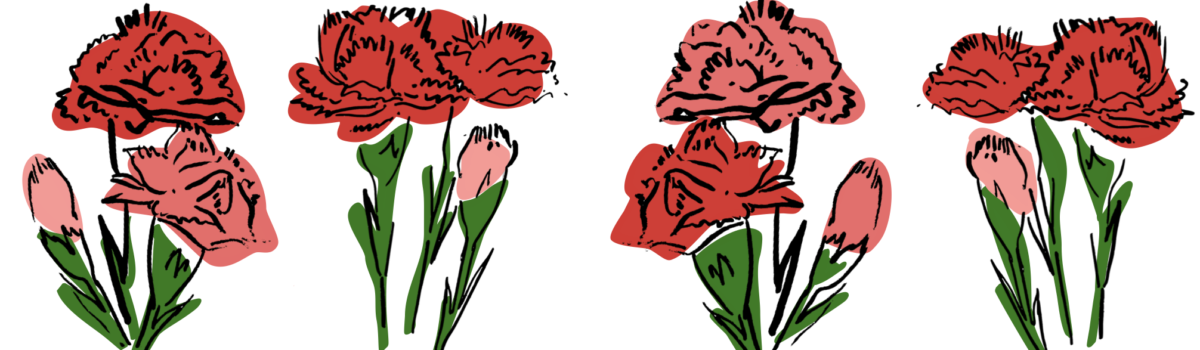 An illustration of a row of red carnations. They are drawn in a very brush-like style and have blotches of reds and greens for colour.