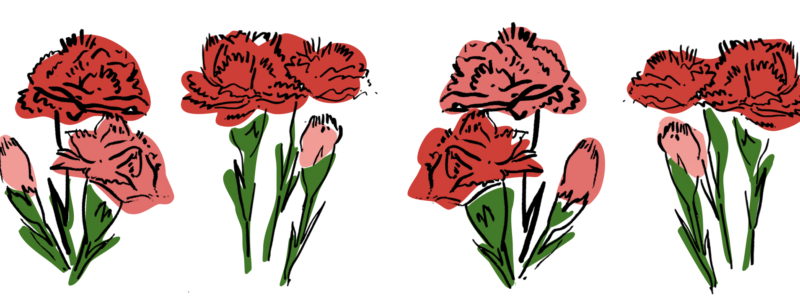 An illustration of a row of red carnations. They are drawn in a very brush-like style and have blotches of reds and greens for colour.